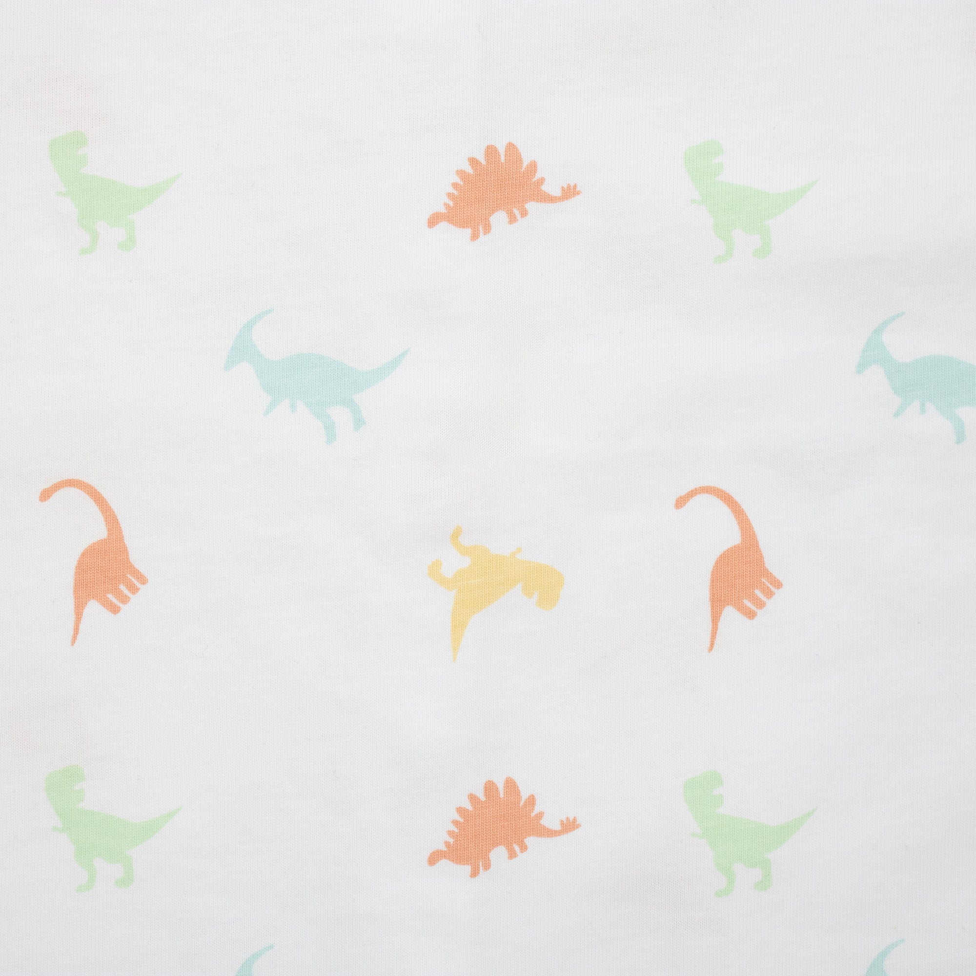 Dino Print