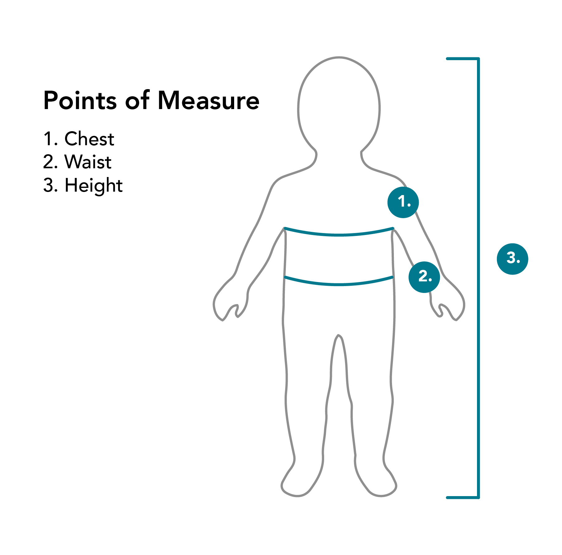 Points of measure on toddler for chest, waist and height