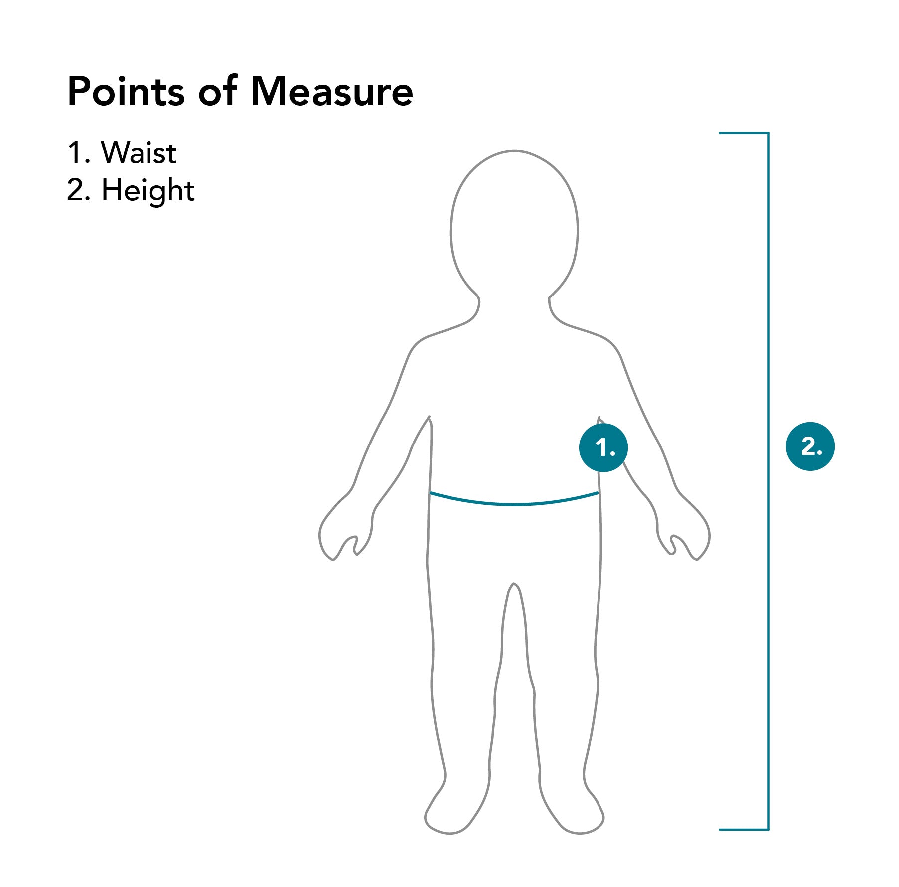 Points of Measure Waist and Height